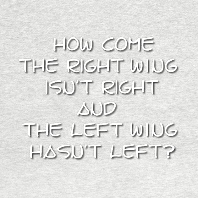 Right Wing Left Wing by Verl